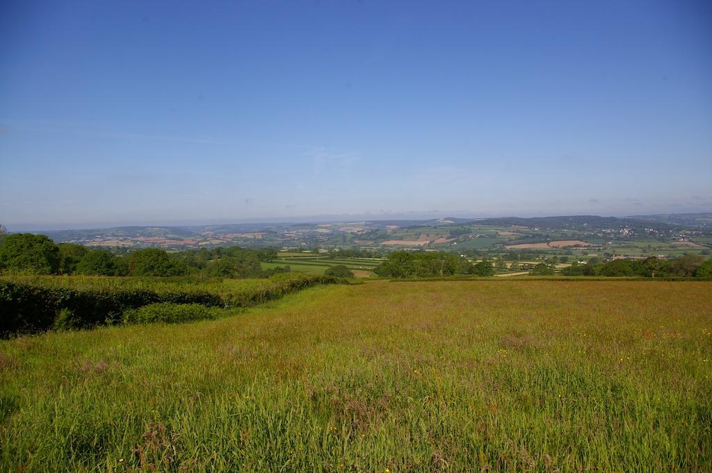 Wyke Farm Otel Axminster Dış mekan fotoğraf
